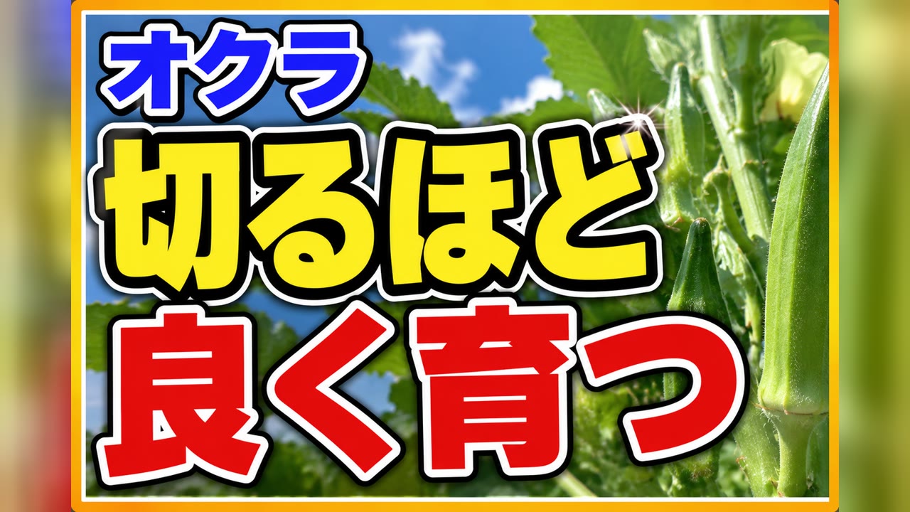 オクラの育て方ブログ記事のアイキャッチ